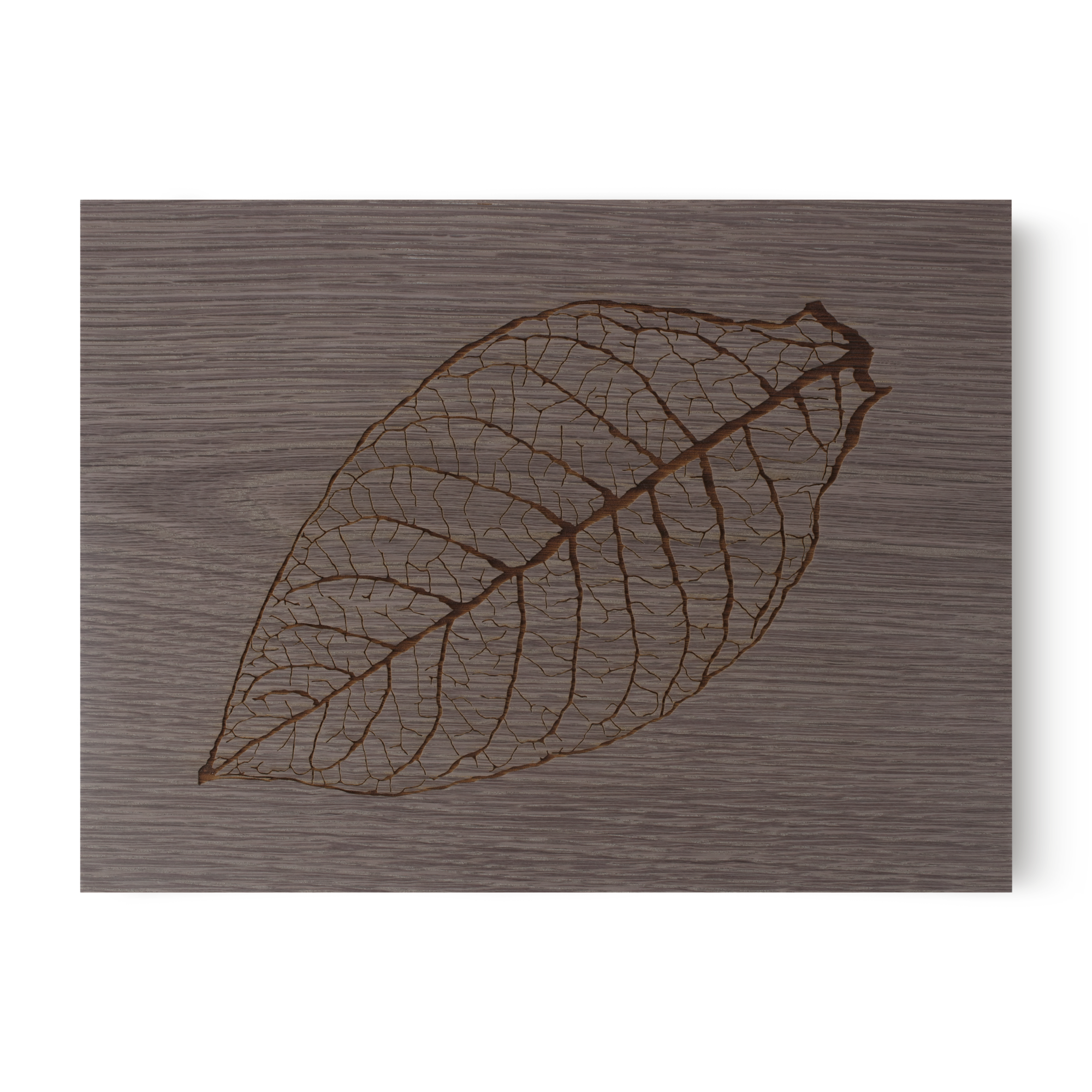 Zino Humidor Leaf - Image 3