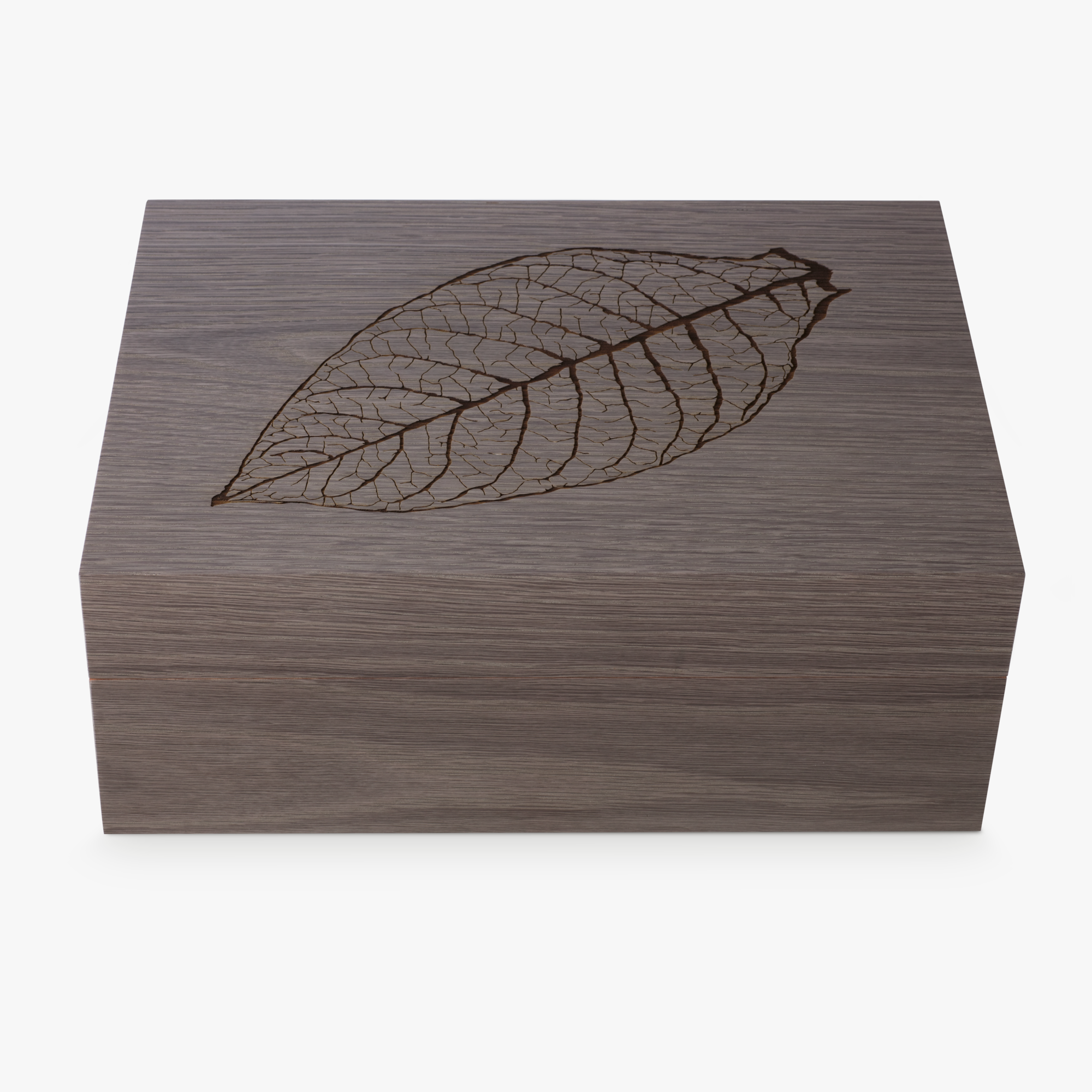 Zino Humidor Leaf