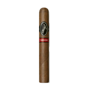 Yamasa Robusto