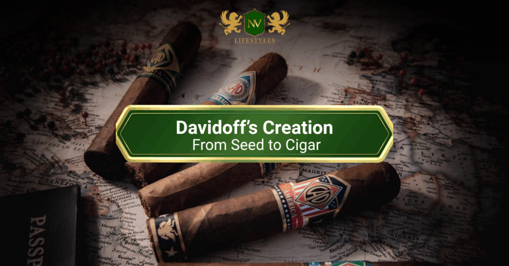 Davidoff’s Creation – From Seed to Cigar